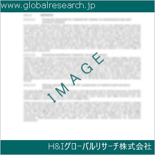 グローバルリサーチ調査資料のイメージ